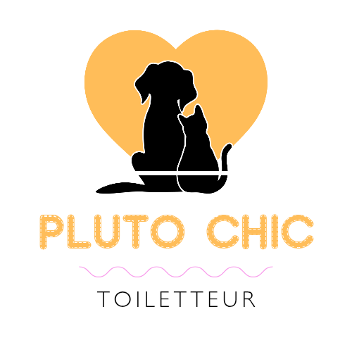 Logo Pluto Chic